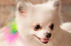 Canine Hair Extensions