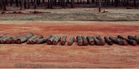 Half-Bloodied Towns Image 8