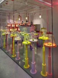 Wonka-Inspired Pastry Shops Image 6