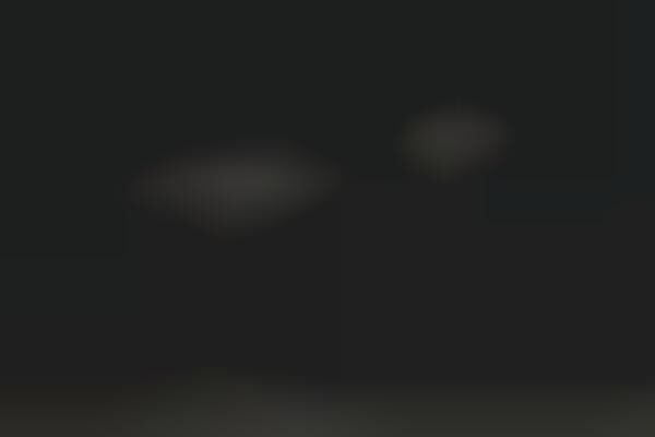 Sneaker Storing Suitcases