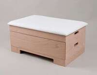 Eccentric Phys Ed Furnishings Image 8
