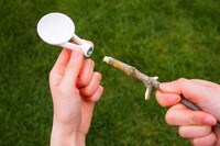 Twiggy Eating Utensils Image 3