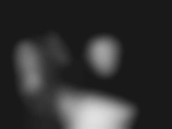 Model Perspective Blogs