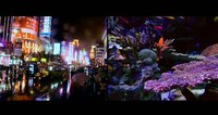 Species Interconnectivity Videos Image 2