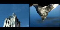 Species Interconnectivity Videos Image 3