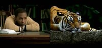 Species Interconnectivity Videos Image 7