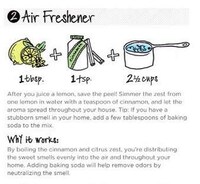 Chemical-Free Cleanser Guides Image 4