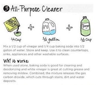 Chemical-Free Cleanser Guides Image 6