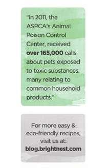 Chemical-Free Cleanser Guides Image 7