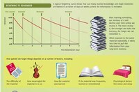 Mental Recollection Infographics Image 2