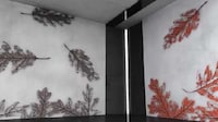 Temperature-Controlled Wall Patterns Image 3