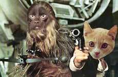 Star Wars Cats