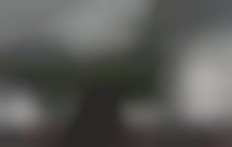 Designer Polka Dot Graffiti