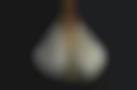Garlic Clove Caddies