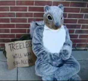 48 Striking Squirrel-Inspired Creations