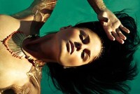 Shimmering Desert Pictorials Image 4