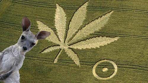 11 Crop Circle Uncertainties 