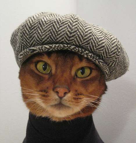 French Feline Attire
