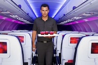 Posh Airline Attire Image 3