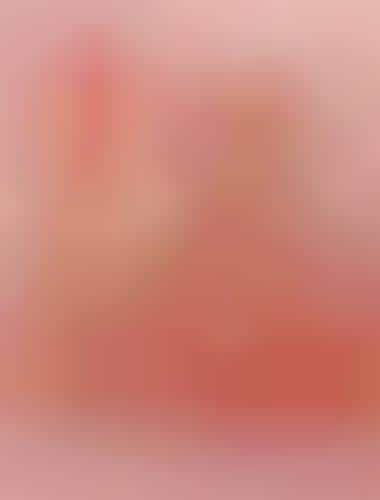 Color-Coded Junk Chronicles