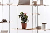 Spindly Storage Systems Image 7