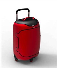Traveling Tot Luggage Image 3