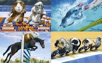 Rodent Olympic Calendars Image 2