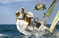 Rodent Olympic Calendars Image 8
