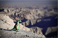Mountable Instagram-Style Lenses Image 3