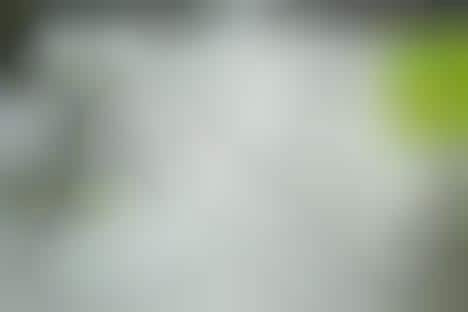 Floral Booze Branding