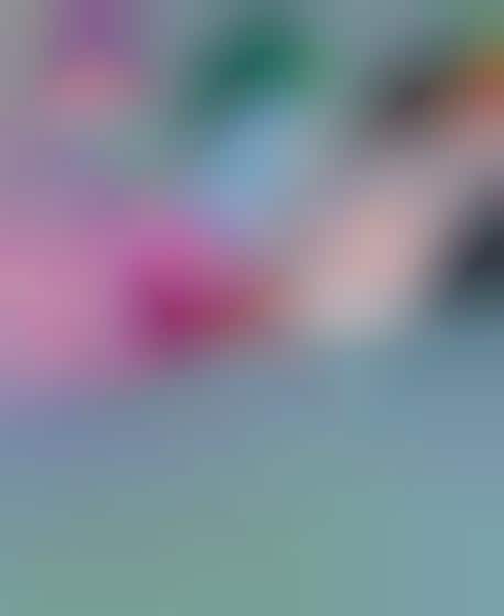 Blurred Animal Artwork