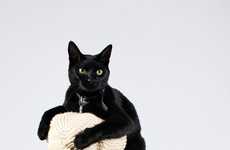 Dog-Shaped Scratching Posts