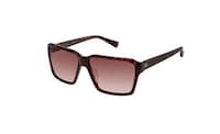 Forest-Saving Sunglasses Image 3