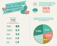 Sunny Season Stats Image 3