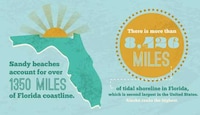 Sunny Season Stats Image 8