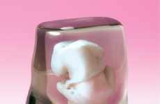 Bizarre Pregnancy Keepsakes