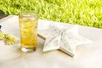 Cootie Catcher Cartons Image 3