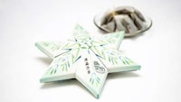 Cootie Catcher Cartons Image 4