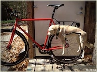Pet-inspired Bike Racks Image 2