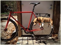 Pet-inspired Bike Racks Image 3