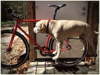 Pet-inspired Bike Racks Image 4