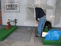 Designated Doggy Beds Image 4