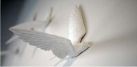 Inflight Fowl Timepieces Image 3