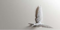Inflight Fowl Timepieces Image 5