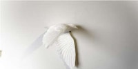 Inflight Fowl Timepieces Image 6