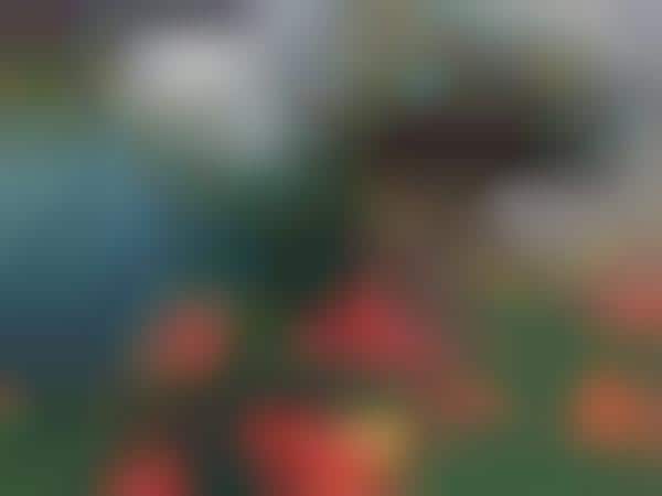 Chicken Wire Garden Art