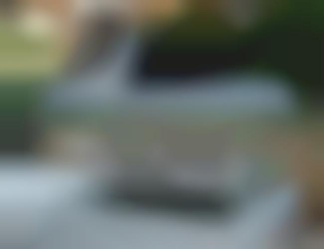 99 Playful Pet Furnishings