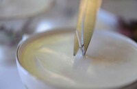 DIY Teacup Illuminators Image 6