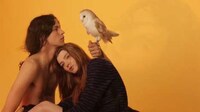 Bewitching Bird Editorials Image 4