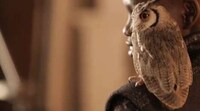 Bewitching Bird Editorials Image 5